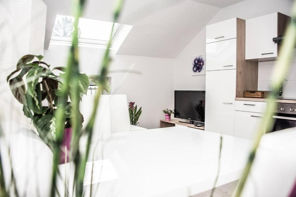 Apartment Pouringraz Fuer Kunst- Und Tennisliebhaber Εξωτερικό φωτογραφία